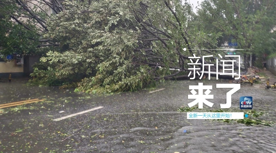 “山竹”怒過，高空塔吊你還好嗎？