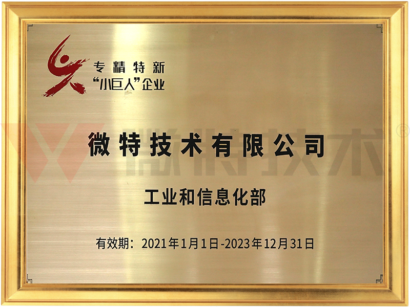 專精特新小巨人企業(yè)—微特